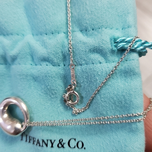 Tiffany Eternal Necklace - Picture 5 of 5